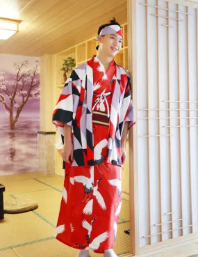 Japanese Crane Kimono Dress