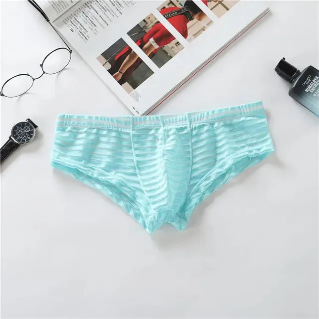 Low Waisted Quick Dry Transparent Brief