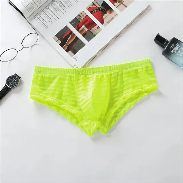 Low Waisted Quick Dry Transparent Brief