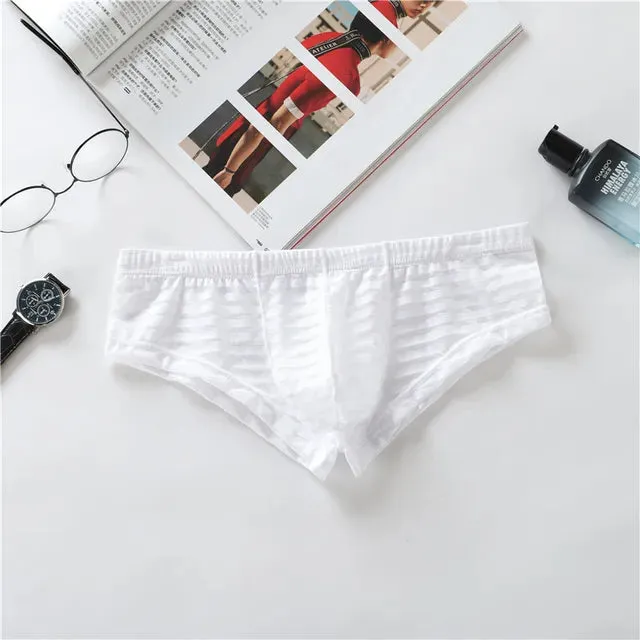 Low Waisted Quick Dry Transparent Brief