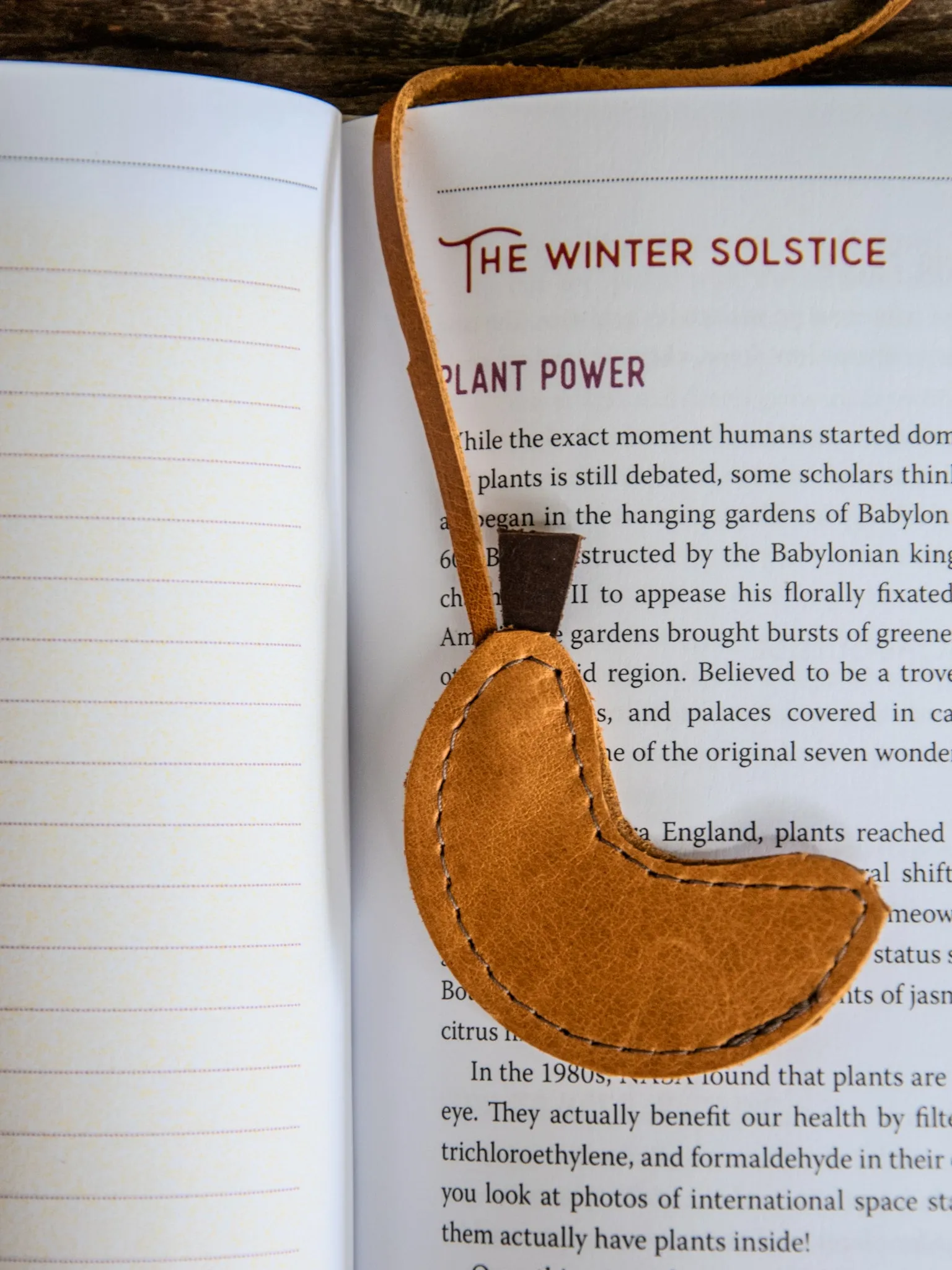 Ready to Ship | Leather Bookmark | Fruit Basket Series