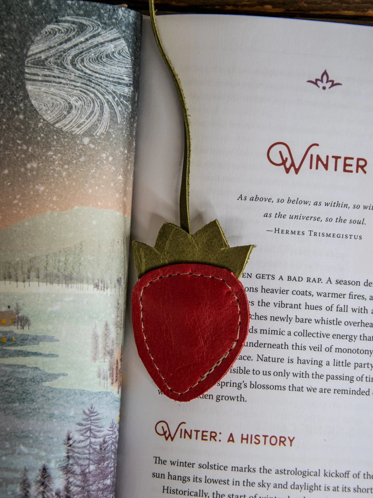 Ready to Ship | Leather Bookmark | Fruit Basket Series